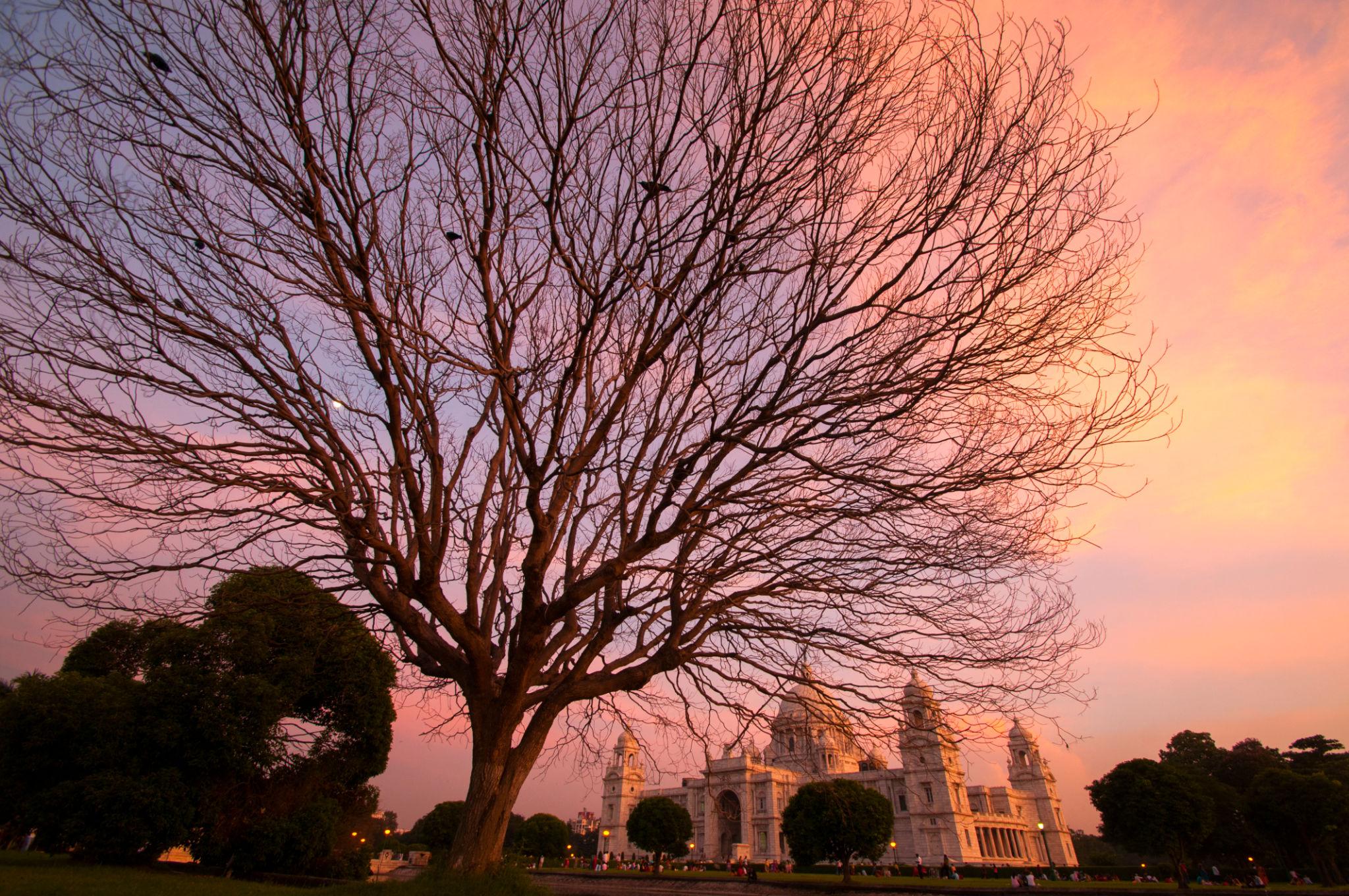Kolkata — culture and heritage